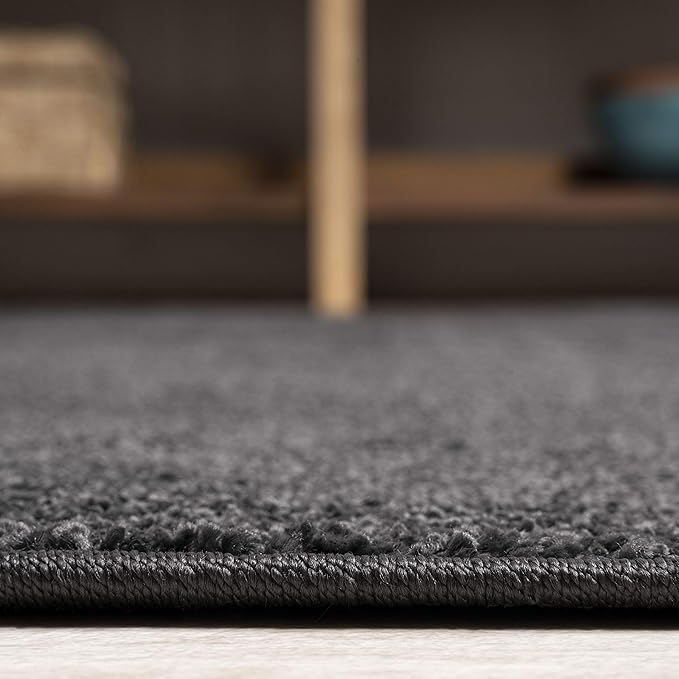 JONATHAN Y Haze Solid Low-Pile Black Indoor Area Rug 4x6, Coastal,Bohemian,Minimalist,Classic, Easy-Cleaning for Living Room,Bedroom,Kitchen,Pet Friendly,Non-Shedding (SEU100I-4)