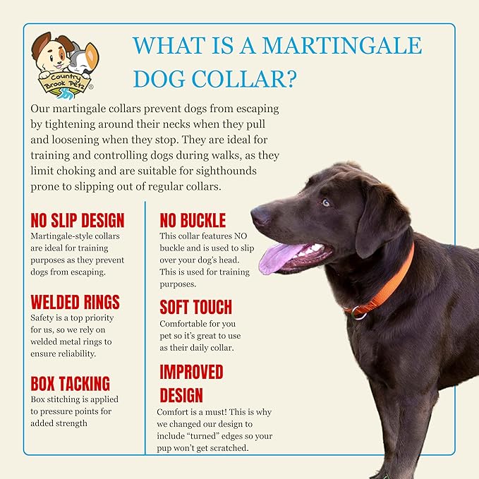 Country Brook Petz - Martingale Dog Collar - Heavy-Duty Training Collar with No Buckle - Service Dog Collar for All Pups - 10+ Warm Colors (Orange, 1 Inch, Extra Large)