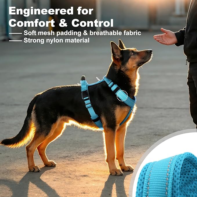 No Pull Dog Harness with Handle, Soft Mesh Padded Adjustable for Small Medium Large Dogs | Reflective Easy Walk Harness with Front Clip for Training, Running & Outdoor (Cyan, S)