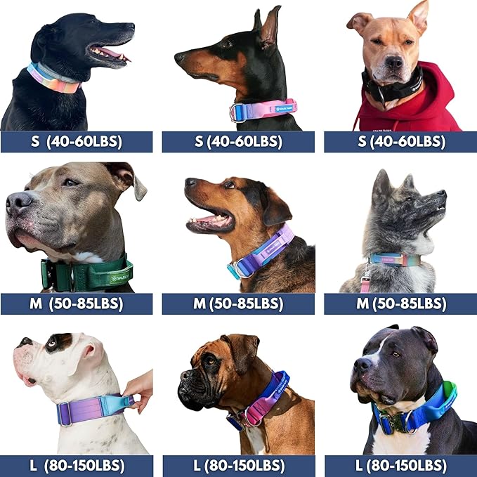 Spark Paws Tactical Dog Collar - Heavy Duty, Premium Quality, Thick and Durable for Large and Medium Dogs - Purple - S - 1.5"