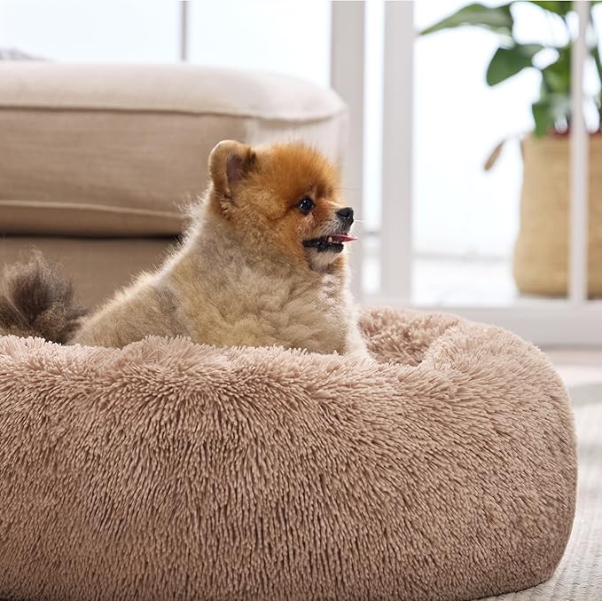 Bedsure Calming Dog Bed for Small Dogs - Donut Washable Small Puppy Bed, 23 inches Anti-Slip Round Fluffy Plush Faux Fur Large Cat Bed, Fits up to 25 lbs Pets, Camel