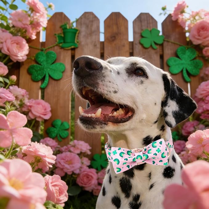 Maca Bates St. Patrick's Day Shamrock Dog Collar,Fancy Bow Tie,Large Girl Boy Dogs, Pink,Green Rainbow,Four Leaf Clover Pattern,Adjustable Durable Soft Collars Irish Gift for Male Female Puppy