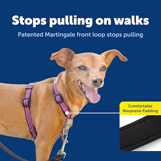 PetSafe 3 in 1 Dog Harness - No Pull Solution for Dogs - Reflective Dog Harness - Front D-Ring Clip Helps Stop Pulling - Comfortable Padded Straps - Top Handle Enhances Control - Plum - Extra Small