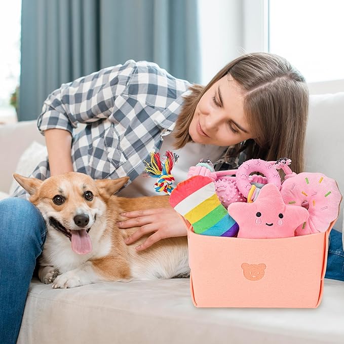 12 Pack Puppy Toys for Teething, Small & Medium Dogs – Chew Toys, Rope Toys & Interactive Dog Toys Set with Storage Box for Training, Play & Boredom Relief