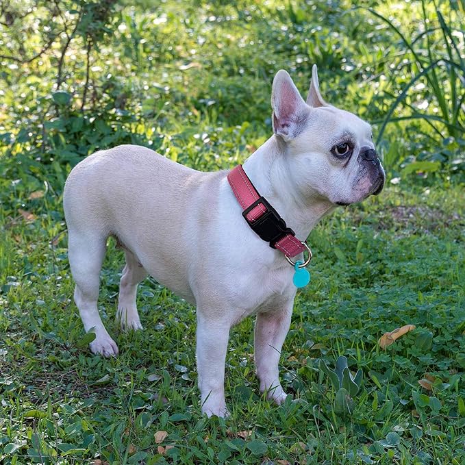Reflective Dog Collar Padded with Soft Neoprene Breathable Adjustable Nylon Dog Collars for Small Medium Large Dogs (Small (Pack of 1), Pink Collar+Leash)