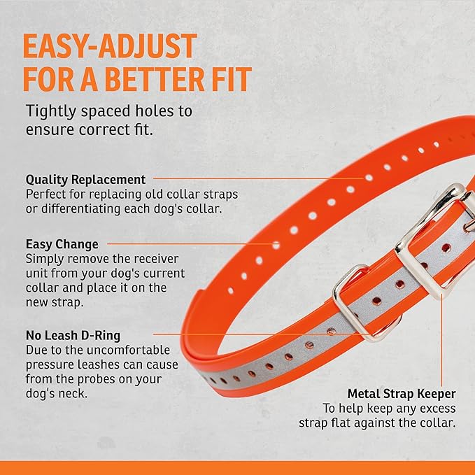 SportDOG 3/4-Inch Collar Strap - Waterproof Replacement Strap for Rugged Outdoor Use - Adjustable Collar with High Visibility - Reflective Orange