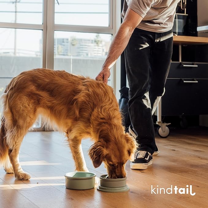 KindTail Dog Travel Bowls - Set of 2 Portable Pet Food & Water Dishes with Lid & Handle - Each Nesting Container Includes a Non-Slip Silicone Base - Microwave & Dishwasher Safe - BPA & Toxin-Free