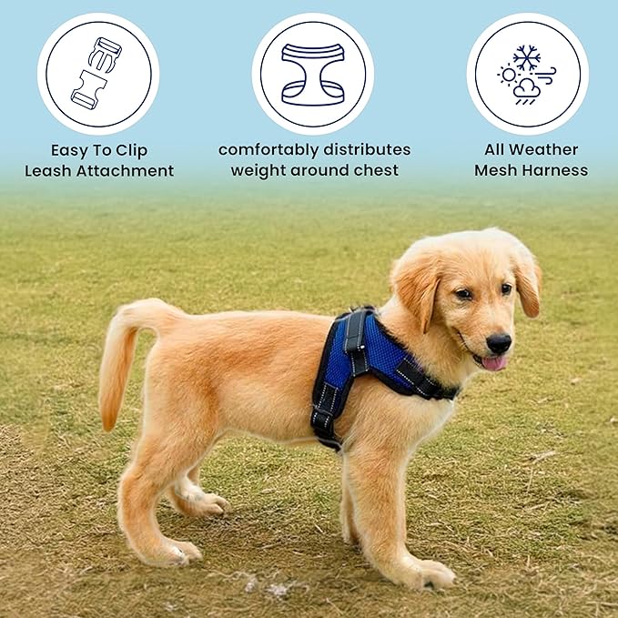 No Pull Reflective Adjustable Dog Harness with Handle- Comfortable Soft All Weather Mesh, Easy On Puppy Harness for Small Medium and Large Dogs (Blue) Large