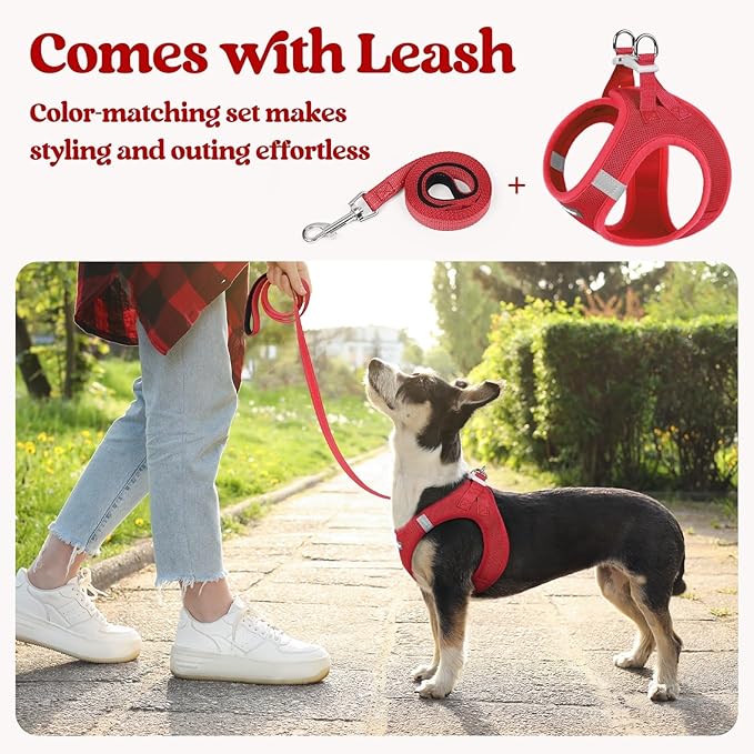 rabbitgoo Dog Harness Small Sized and Leash Set, Step in Soft Light Puppy Vest, Breathable Mesh Pet Harness, Reflective for Safe Easy Walking, Red S