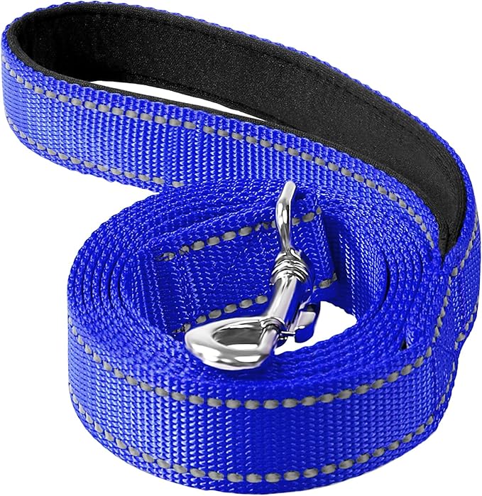 Reflective Dog Leash 4ft Soft Padded Handle Nylon Lead for Small & Medium Dogs, Durable Walking Training Leash for Night Safety (Royal Blue,1Inch Wide)