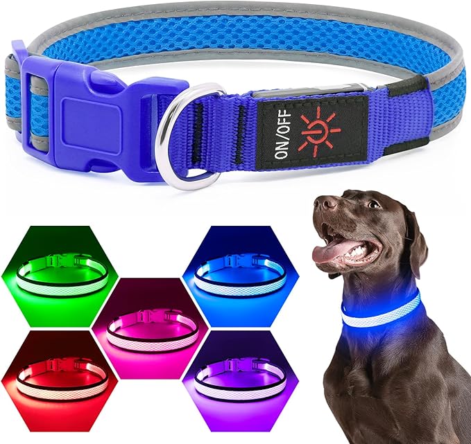 Flashseen LED Dog Collar, Light Up Dog Collar USB Rechargeable, Brightest Dog Lights for Night Walking, Adjustable Dog Collar Light for Dog Safety(Medium, Royal Blue)