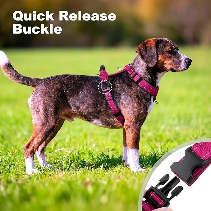 No Pull Dog Harness with Handle, Soft Mesh Padded Adjustable for Small Medium Large Dogs | Reflective Easy Walk Harness with Front Clip for Training, Running & Outdoor (Hot Pink, L)