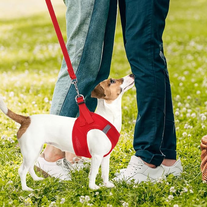 PUPTECK Adjustable Dog Harness Collar and Leash Set Step in No Pull Pet Harness for Small Medium Dogs Puppy and Cats Outdoor Walking Running, Soft Mesh Padded Reflective Vest Harnesses