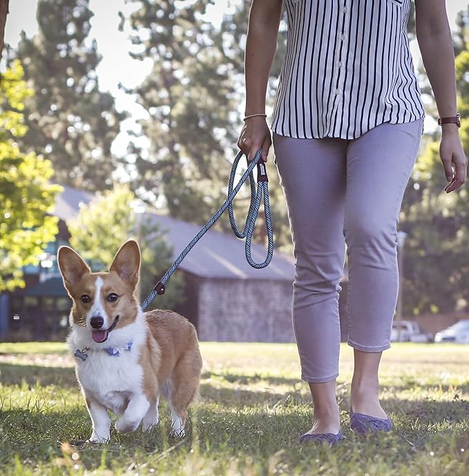 Friends Forever Extremely Durable Dog Rope Leash, Premium Quality Training Slip Lead, Reflective, Thick Heavy Duty, Sturdy, No Pull, Comfortable For The Strong Large Medium Small Pets 6 feet, Blue