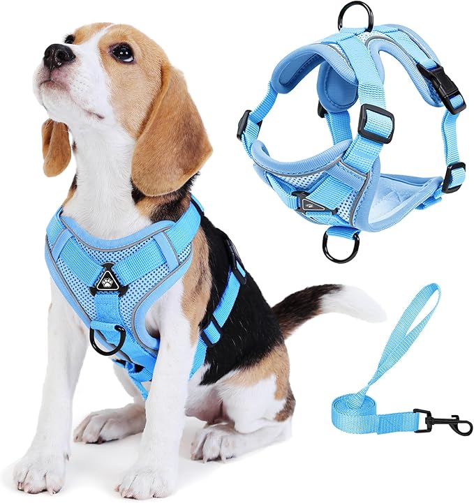 No Pull Dog Harness with Leash Set for Small Sized Dog, Reflective Adjustable No Choke Front Clip Cat Vest Harness with Breathable Mesh, Comfortable Soft Padded Pet Vest, Blue S