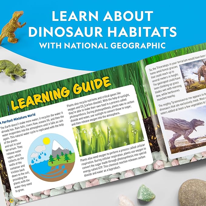National Geographic Light Up Terrarium Kit for Kids - Build a Dinosaur Habitat with Real Plants & Gemstones, Science Kit, Dinosaur Toys for Kids (Amazon Exclusive)