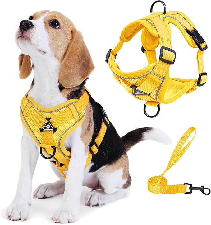 No Pull Dog Harness with Leash Set for Small Sized Dog, Reflective Adjustable No Choke Cat Vest Harness with Breathable Mesh, Comfortable Soft Padded Pet Vest, Yellow L