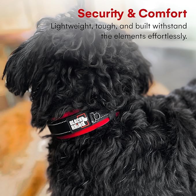 Black Rhino - The Comfort Collar Ultra Soft Neoprene Padded Dog Collar for All Breeds - Heavy Duty Adjustable Reflective Weatherproof (Small, Red/Black)