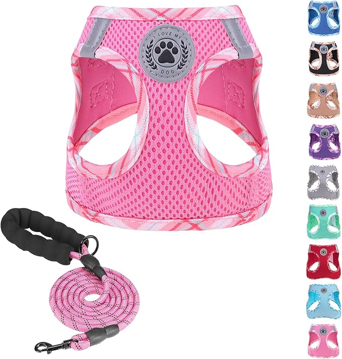 BEAUTYZOO Dog Harness and Leash Set for Small Medium Dogs,No Pull Step-in Harness for Puppy S M Sized Dogs and Cats,Air Mesh Adjustable Breathable Soft No Choke Escape Proof Vest Harnesses,Pink XXS