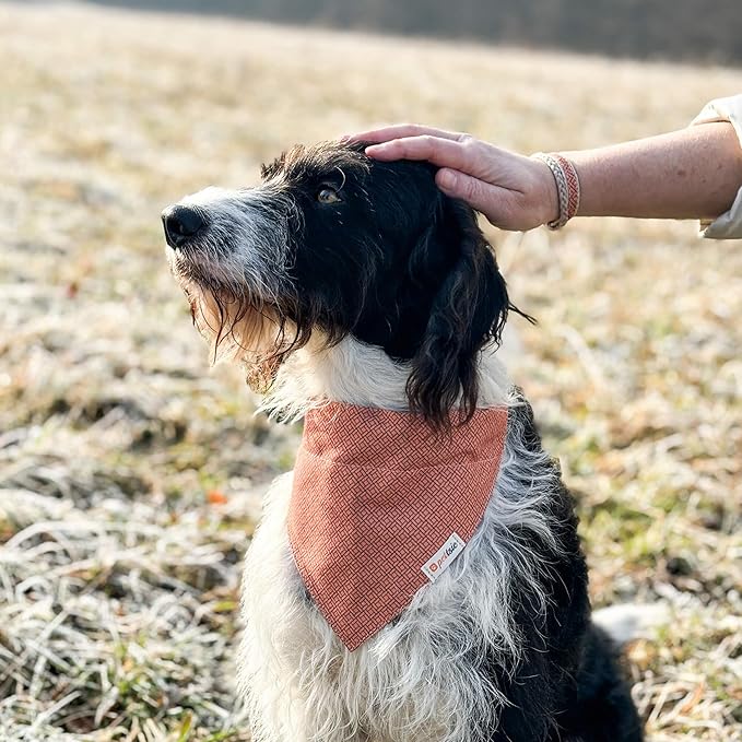 Pettsie Dog Bandana Collar with Matching Friendship Bracelet – Adjustable, Durable Hemp & Soft Cotton, Stylish & Comfortable Pet Bandana, Designed for Dog Lovers, Small, Orange
