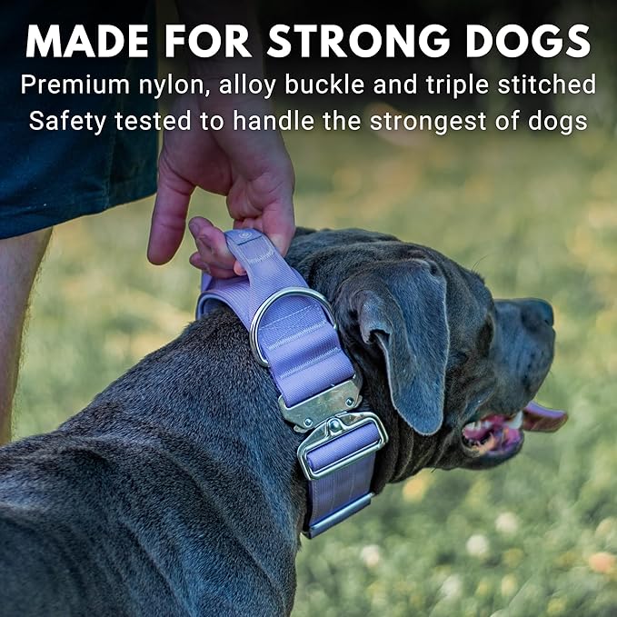 Spark Paws Tactical Dog Collar - Heavy Duty, Premium Quality, Thick and Durable for Large and Medium Dogs - Purple - M - 1.5"