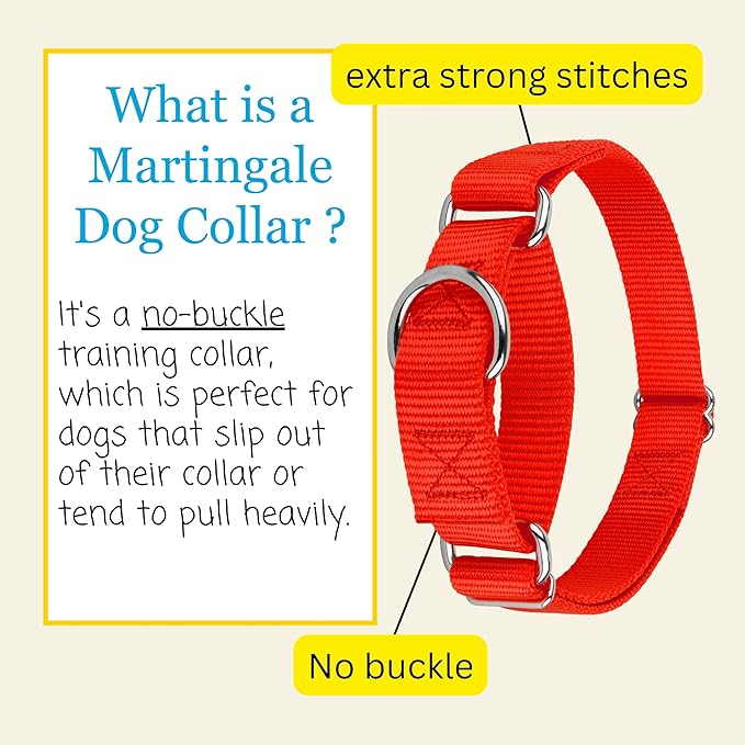 Country Brook Petz - Martingale Dog Collar - Heavy-Duty Training Collar with No Buckle - Service Dog Collar for All Pups - 10+ Warm Colors (Hot Orange, 1 Inch, Medium)