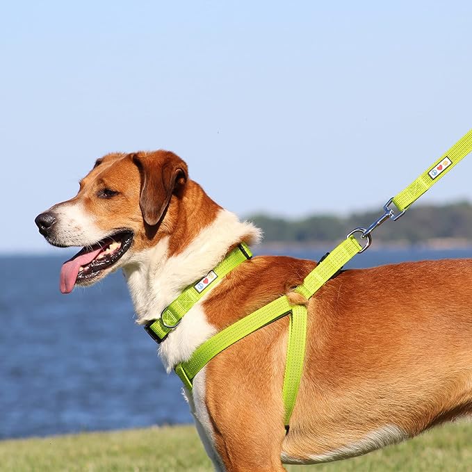 Pawtitas Reflective Step-in Dog Harness – Adjustable No-Pull Vest for Puppies to Seniors, Safe & Comfortable, XS Blue