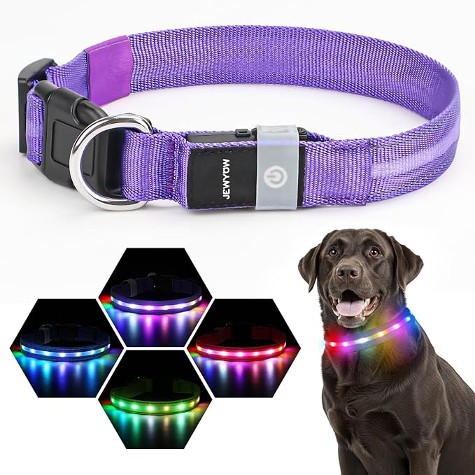 LED Dog Collar, Light Up Dog Collar, USB Rechargeable - Brightest Dog Lights for Night Walking, 6 Light Modes, Adjustable for Dog Safety(Medium, Purple)