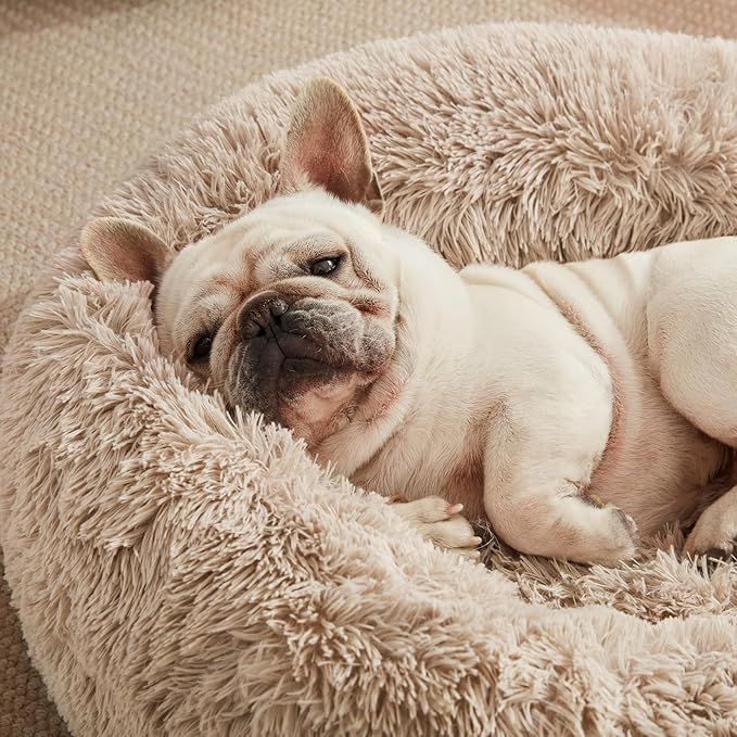 Love's cabin Calming Dog & Cat Bed, Cat Bed for Indoor Cats, Anti-Anxiety Donut Round Bed, Fluffy Warming Pet Bed for Small Medium Dogs and Cats, Beige Taupe 20"/24"