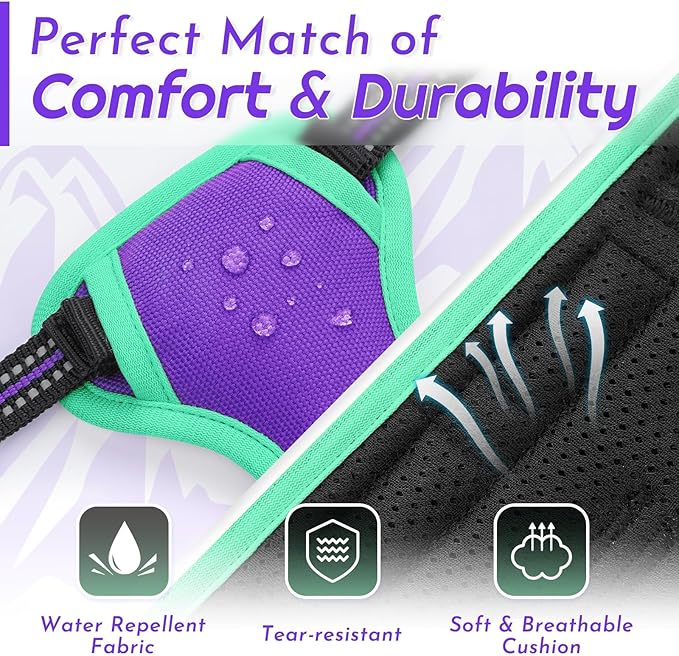 Eagloo Small Dog Harness No Pull, Service Vest with Reflective Strips and Control Handle, Adjustable and Comfortable for Walking, No Choke Pet Harness with 2 Metal Rings, Purple & Green, XS