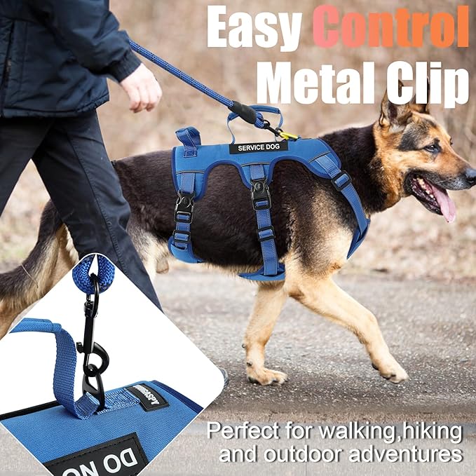 Escape Proof Dog Harness for Large Medium Sized Dogs Six Point Adjustable, Service Dog Vest Harness and Leash Set, No Pull Dogs Harnesses with Handle, XL Dog Harnesses for Walking(Blue, L)