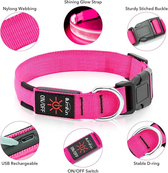 Illumifun LED Dog Collar USB Rechargeable Light Up Dog Collar, Water-Resistant Adjustable Safety Collar Light for Small Medium Large Dogs Glow in The Dark (Pink, Large)
