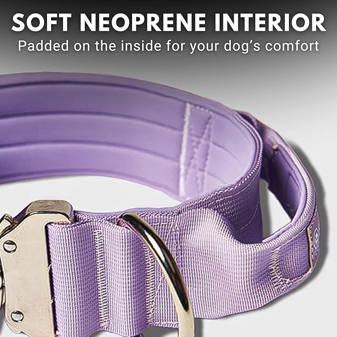 Spark Paws Tactical Dog Collar - Heavy Duty, Premium Quality, Thick and Durable for Large and Medium Dogs - Purple - S - 1.5"