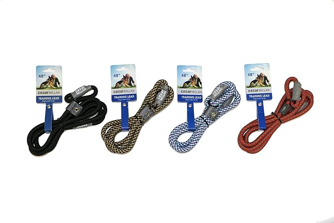 Cesar Millan Slip Lead Leash??- 2-in-1 Slip Collar Dog Training Lead & Collar | Heavy Duty Durable Weatherproof Rope Leash, No Pull Training | Length 4ft Diameter 1/2??Large, Grey)