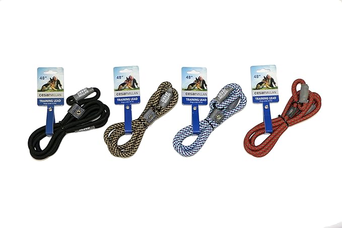Cesar Millan Slip Lead Leash??- 2-in-1 Slip Collar Dog Training Lead & Collar | Heavy Duty Durable Weatherproof Rope Leash, No Pull Training | Length 4ft Diameter 4/10??Regular, Aqua/Purple)