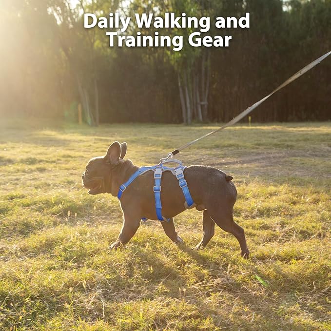 Huntboo Escape Proof Dog Harness, Secure Dog Harness No Escape, Fully Reflective Harness with Handle,Breathable,Durable, Adjustable Vest for Small Dogs Walking, Training,and Running Gear (Sea Blue,S)