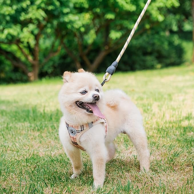 BEAUTYZOO Small Dog Harness and Leash Set,Step in No Choke No Pull Soft Mesh Dog Harnesses Reflective for Extra-Small/Small Medium Puppy Dogs and Cats, Plaid Dog Vest Harness for XS S Pets, Beige XXS