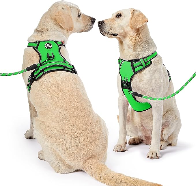 NESTROAD No Pull Dog Harness,Adjustable Oxford Dog Vest Harness with Leash,Reflective No-Choke Pet Harness with Easy Control Soft Handle for Large Dogs(Large,FluorescentGreen)