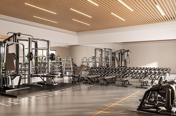 TETOTE Gym Workout Mirrors for Home Gym 72" x 30" - 1PC Large Tempered Glass Exercise Fitness Mirror Wall Mounted, Frameless Full Length Mirror for Garage, Dance Studio, Yoga, Living Room