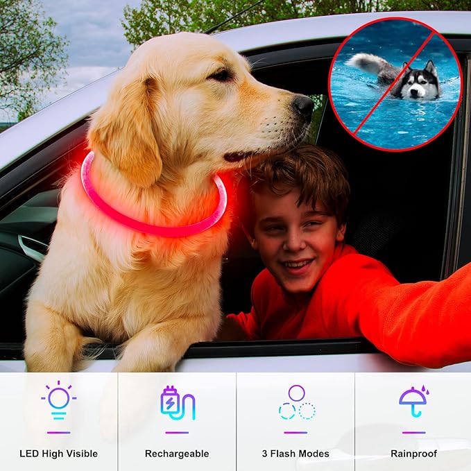 Light Up Dog Collar, Dlitk Rechargeable Cuttable LED Dog Collars, Pet Safety Light at Night Walking for Small Medium Large Dogs, Do Not Use Fast Charging (Red)