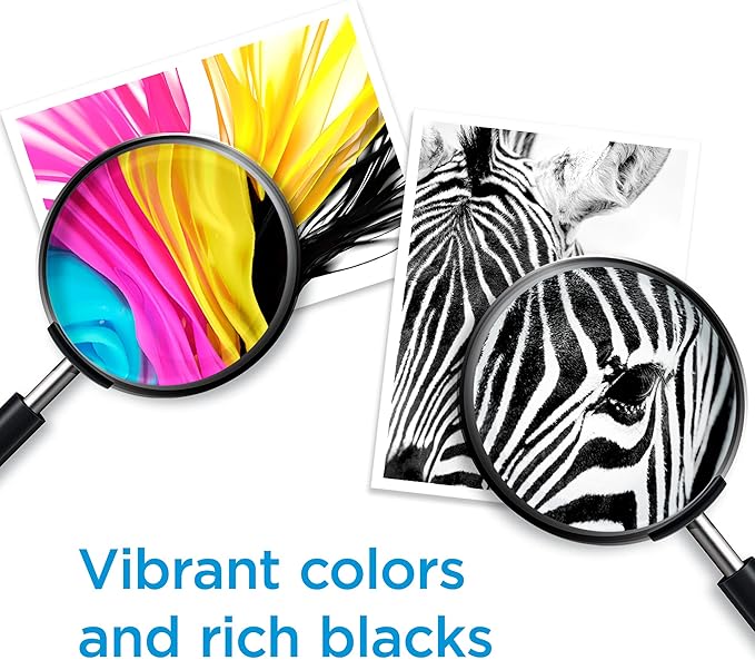 HP 64 Black & Tri-Color Ink Cartridges Printers (Combo Pack) | Works with Printer Series: Inspire 7950e; Envy Photo 6200, 7100, 7800; Tango | Eligible for Instant Ink | X4D92AN