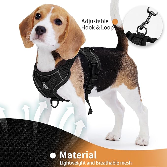 No Pull Dog Harness with Leash Set for Medium Sized Dog, Reflective Adjustable No Choke Front Clip Cat Vest Harness with Breathable Mesh, Comfortable Soft Padded Pet Vest, Black XL