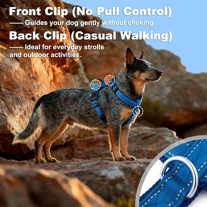 No Pull Dog Harness with Handle, Soft Mesh Padded Adjustable for Small Medium Large Dogs | Reflective Easy Walk Harness with Front Clip for Training, Running & Outdoor (Royal Blue, XL)