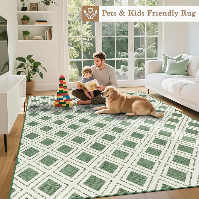 LBRO2M Checkered Rug 5X7 Washable Rugs for Living Room Bedroom Non Slip Rugs Easy Clean, Soft Low Piles Stain Resistant Carpet Geometric Area Rug Great for Pets and Family (5'X7' Green)