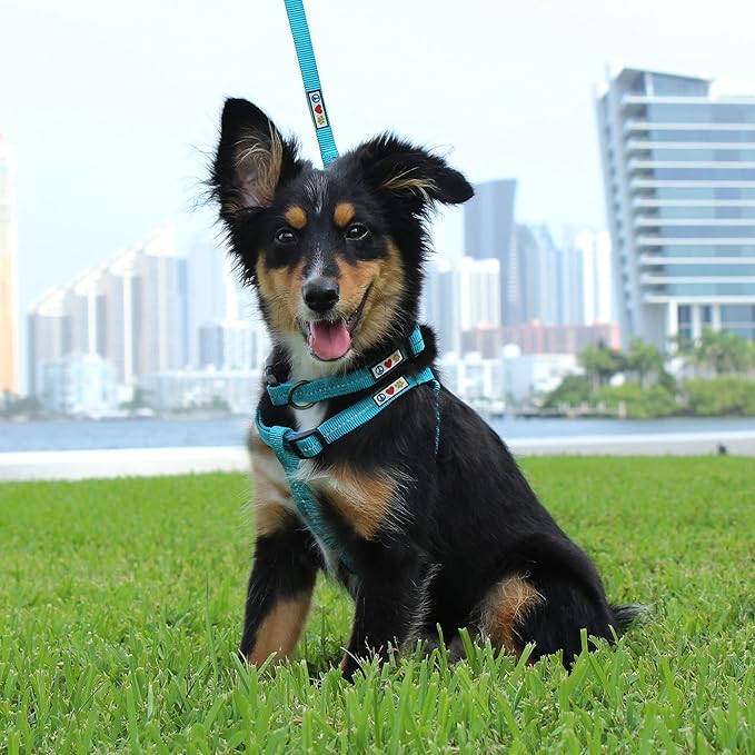 Pawtitas Recycled Reflective Step-in Dog Harness – Adjustable No-Pull Vest for Puppies to Seniors, Safe & Comfortable S Blue