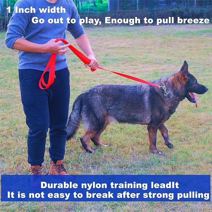 Strong Durable Nylon Dog Training Leash, 1 Inch Wide Traction Rope, 6 ft Long, for Small and Medium Dog (Purple, 6 Feet)
