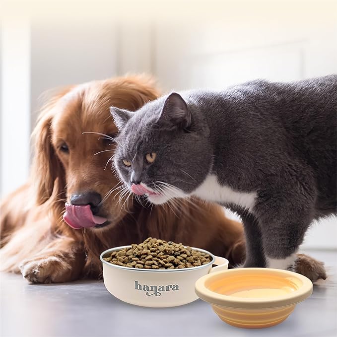 HANARA 2-in-1 Insulated Dog Bowl with Collapsible Lid & Handle ??Stainless Steel, Non-Slip Rubber Base ??Portable Pet Water & Food Bowl for Dogs & Cats ??30 OZ + 20 OZ ??Indoor & Outdoor (Beige)