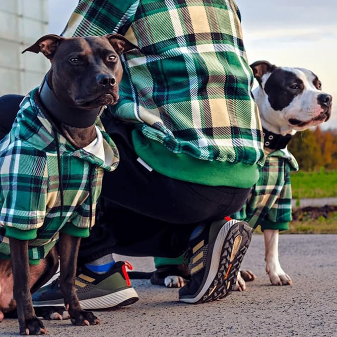 Spark Paws Human Hoodie - Premium Quality, Buttery Soft, Superior Comfort and Fit, Calming Fleece Interior, Suitable for All Styles – Green Plaid, M