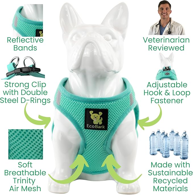 EcoBark Step in Dog Harness - Eco-Friendly Teacup Dog Harnesses for XXS, XS, and Small Dogs - Reflective and Adjustable Mini Body Halter Vest -Tiny Soft Mesh Toy Breed Harness Under 5 lbs (XXXS, Mint)