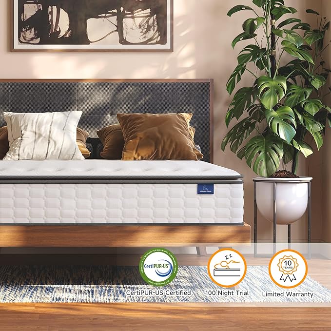Vesgantti Queen Mattresses, 10 Inch Hybrid Pillow Top Queen Size Mattress in a Box, Memory Foam Pocket Coils Innerspring Mattresses, Fiberglass Free, Pressure Relief, Medium Firm Plush Feel